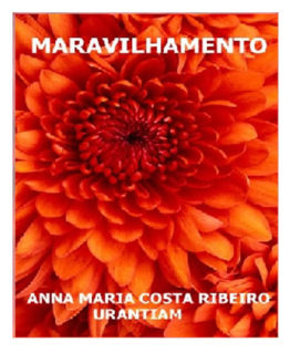 Ebook Maravilhamento Anna Maria Costa Ribeiro