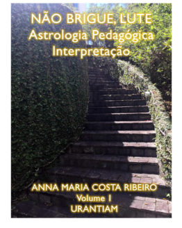 ebook nao brigue lute anna maria costa ribeiro