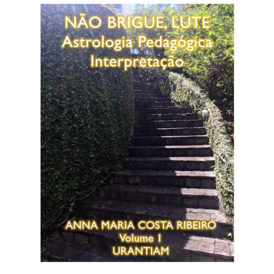 E-Book Não Brigue, Lute