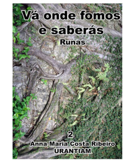 ebook va onde fomos e saberas runas volume 2 Anna Maria Costa Ribeiro