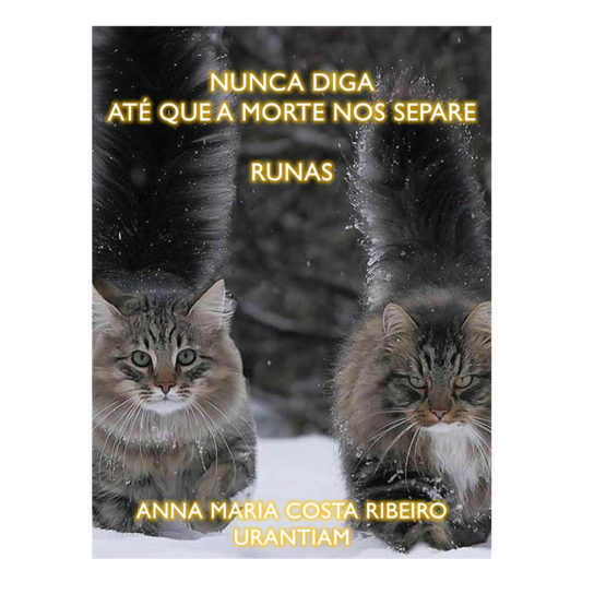 E-Book Nunca Diga Até Que a Morte Nos Separe - Runas